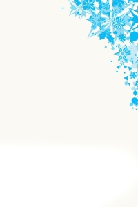Crystalized Snowflakes