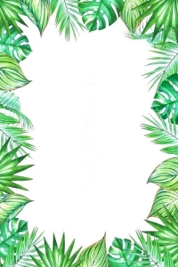 Palm Leaves 3