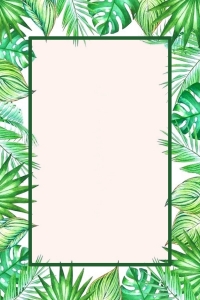 Palm Leaves 4