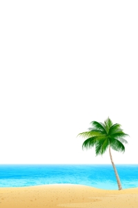 Palm Trees 3