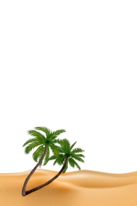 Palm Trees