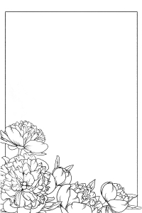 Rose _ Chrysanthemums