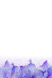 purple petals